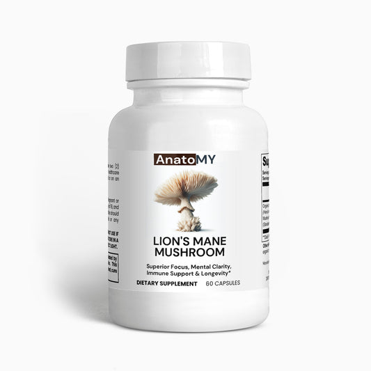 Lion's Mane Mushroom